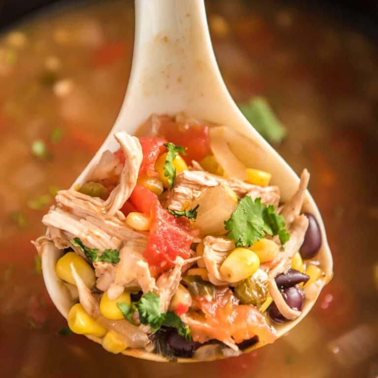 Crock Pot Chicken Tortilla Soup