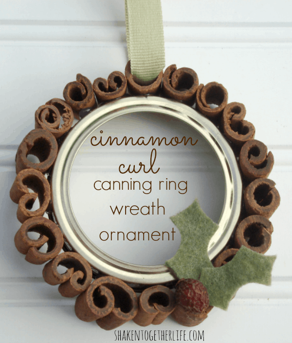 Risultati immagini per canning jar ring ornament
