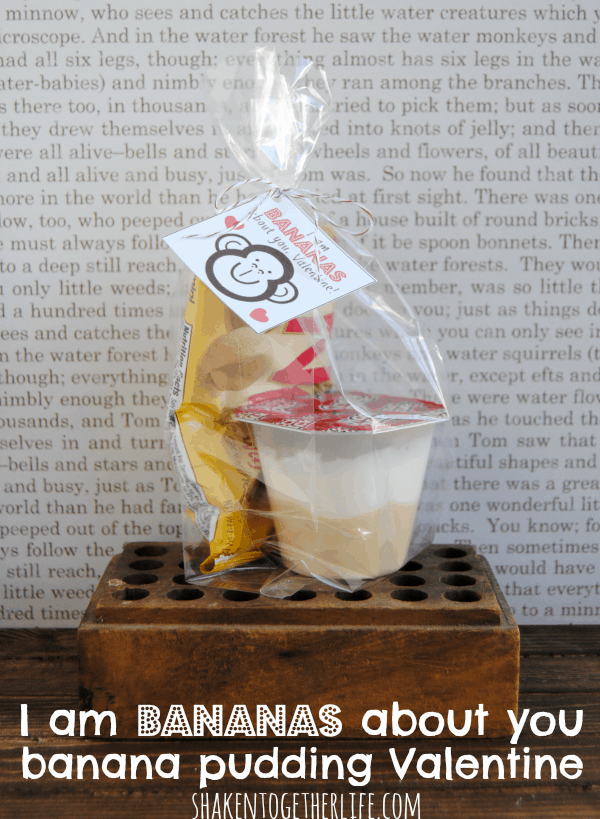 I am BANANAS about you banana pudding Valentines! FREE printable tags, too!