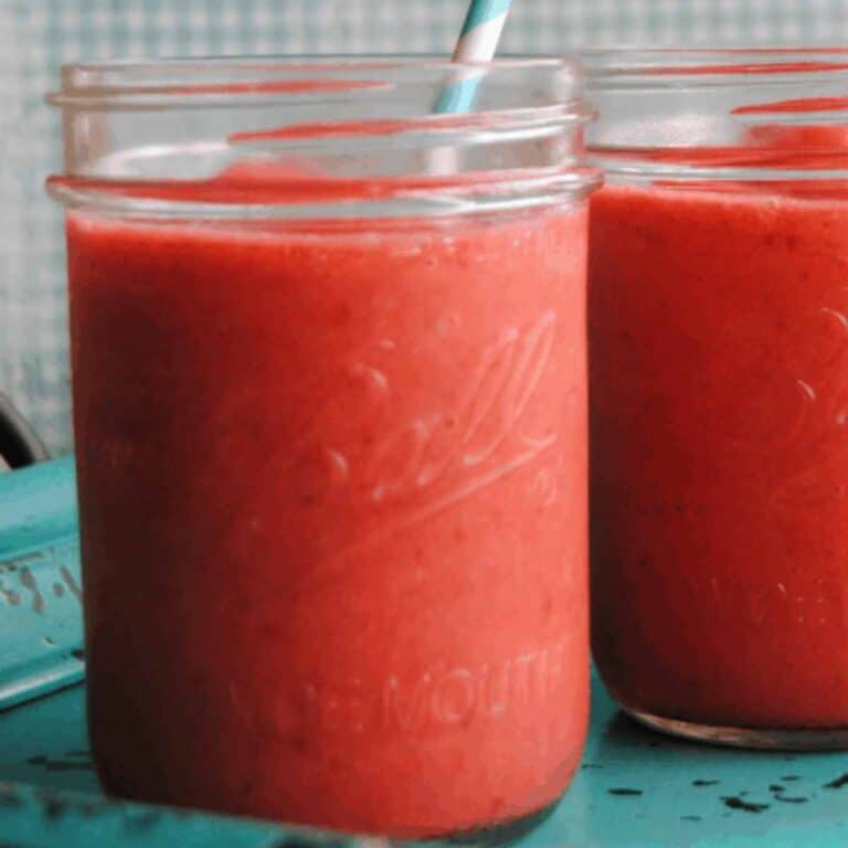 Slushy Blender Fruit Punch