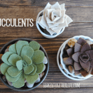 DIY felt succulents - three different varieties - all quick and easy!