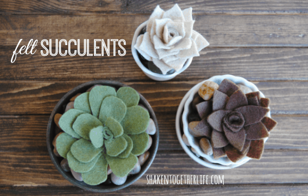 DIY felt succulents - three different varieties