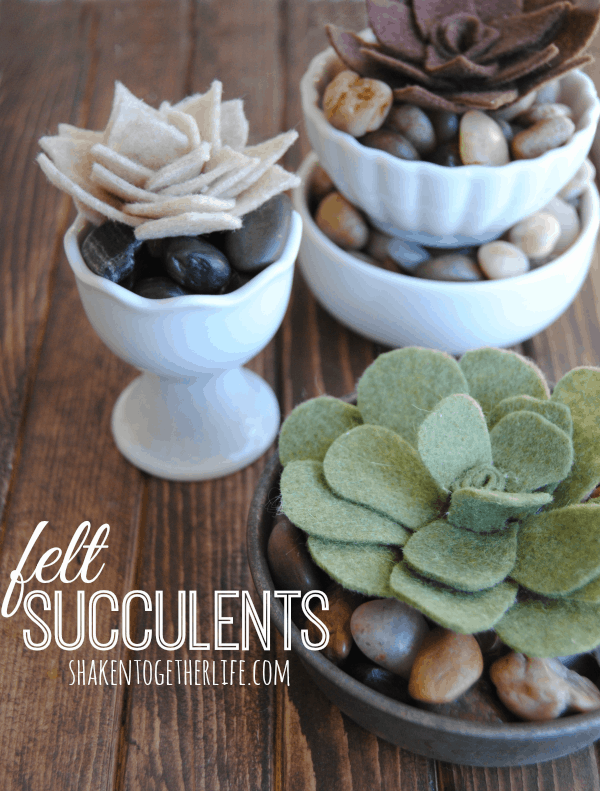 Pretty little DIY felt succulents - tutorial at shakentogetherlife.com