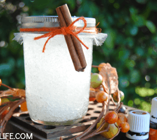 Make a cinnamon orange air freshener - great Fall gift idea!