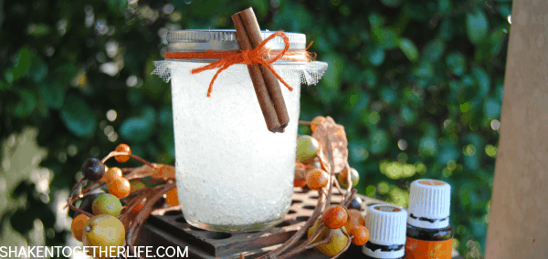 Make a cinnamon orange air freshener - great Fall gift idea!