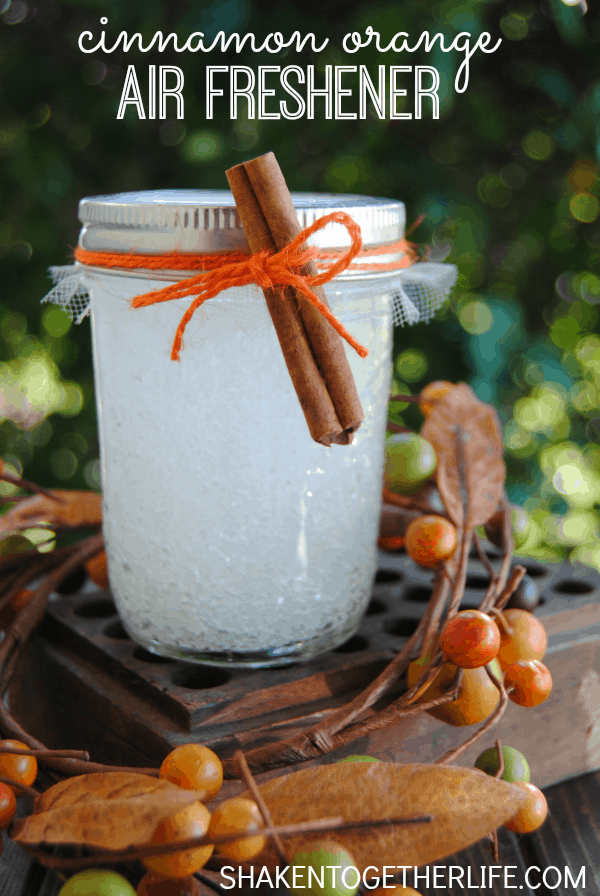 Make a Cinnamon Orange Air Freshener - a great Fall gift idea! It smells just like Autumn!