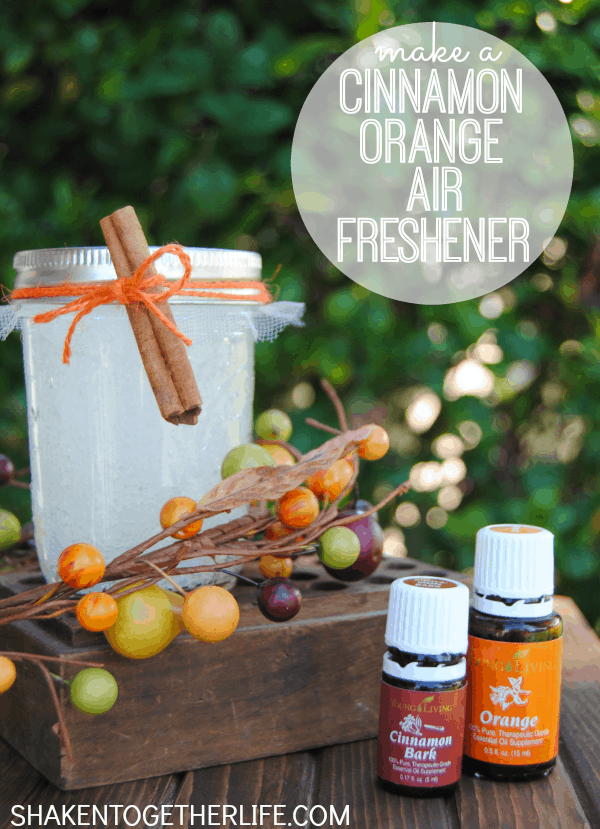 Make a cinnamon orange air freshener - great Fall gift idea!