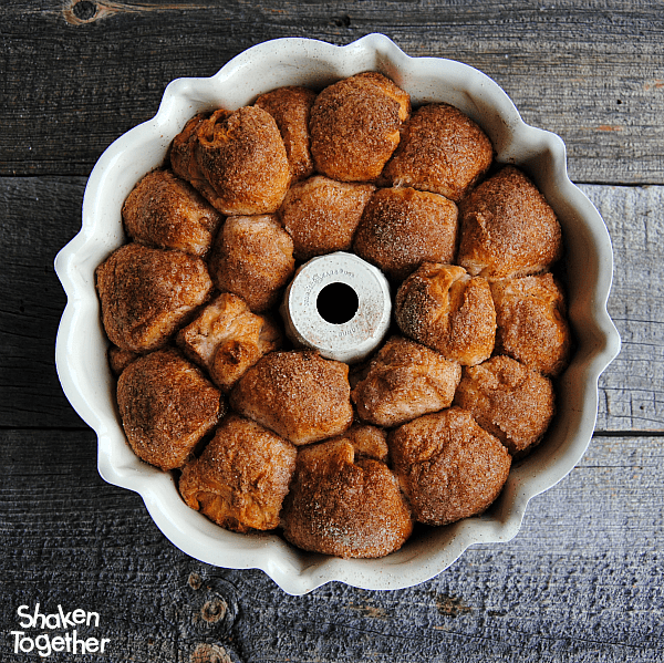Cream Cheese Stuffed Monkey Bread Bites! These start with refrigerated biscuits, get stuffed with your favorite flavor of cream cheese, rolled in cinnamon sugar and baked into sweet little bites of delicious!