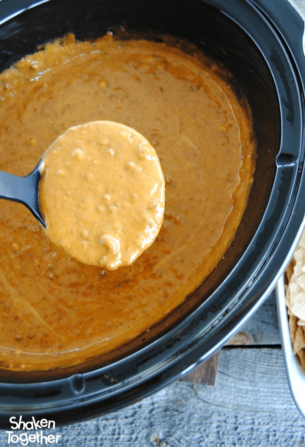 Slow Cooker Chili Cheese Dip - Dash of Sanity