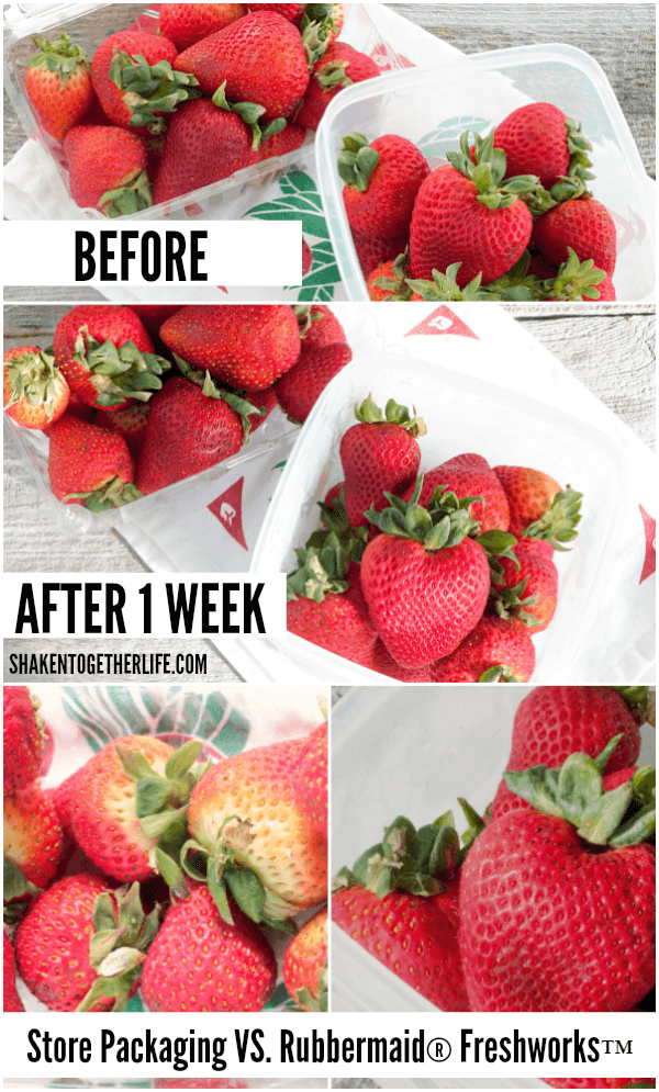 strawberries after storing in produce container or store container comparison