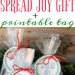 Spread holiday cheer with this Spread Joy Holiday Gift idea! Stack your favorite spreadable jams, jellies, butters, spreads and honey and add a printable gift tag for an easy, affordable holiday gift that is perfect for friends, neighbors and teachers!