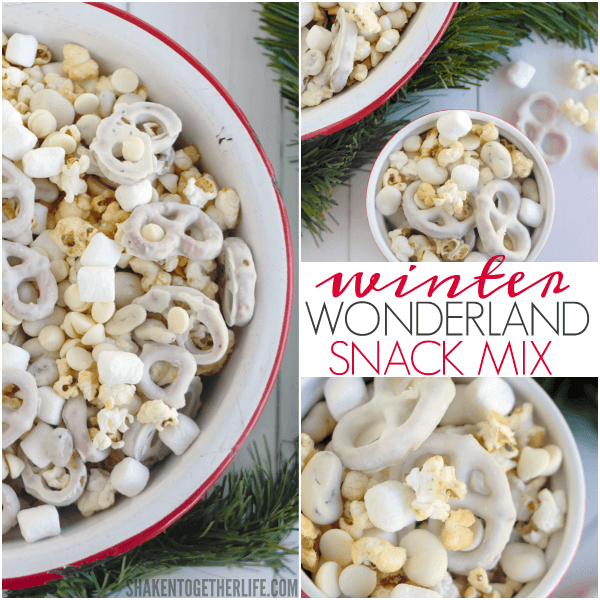 Mix up a big bowl of this sweet and salty Winter Wonderland Snack Mix!