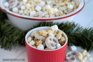 Winter Wonderland Snack Mix is filled with all snowy white sweet and salty tastes of the season!!