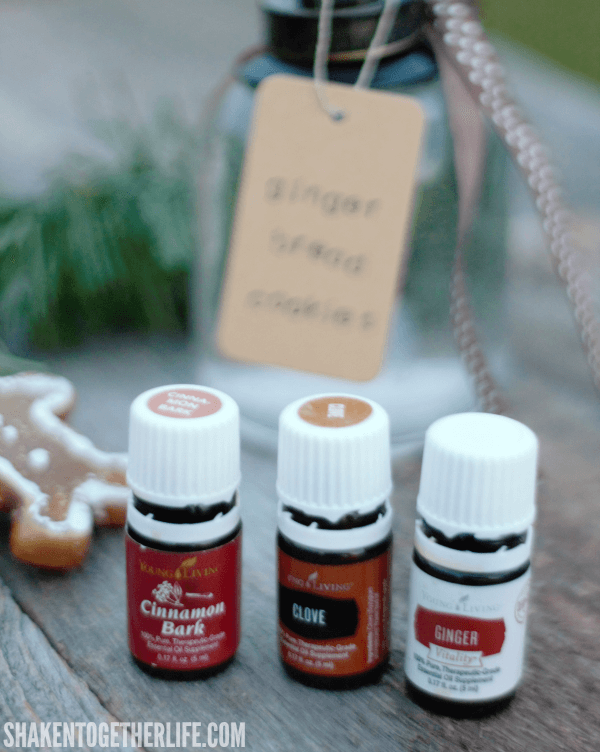 Holiday Room Spray Recipes with essential oils - mix up a blend with cinnamon, ginger & clove essential oils for the sweet spicy scent of gingerbread cookies!