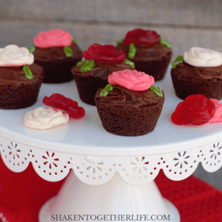 Brownie bites and chocolate frosting are the beginning of these easy, no bake Rose Garden Brownie Bites! They are perfect for a tea party, Valentine's Day or a floral themed brunch!
