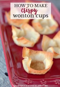 wonton cups on red plate