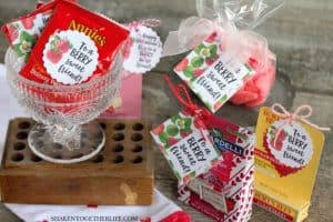 Our inexpensive but adorable Strawberry Themed Gifts look "berry cute" dressed up with the Berry Sweet Printable Tags! Candy, fruit snacks, lip balm & lots more berry themed gift ideas are included!!