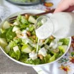 Sweet and tangy, this homemade Creamy Poppy Seed Dressing makes this simple salad of apples, Swiss cheese and cashews sing!