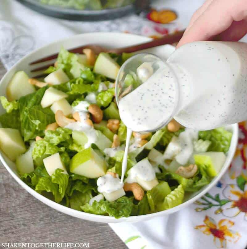 Sweet and tangy, this homemade Creamy Poppy Seed Dressing makes this simple salad of apples, Swiss cheese and cashews sing!