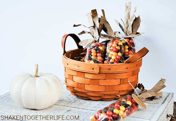 indian corn favors made with sixlets in basket with white pumpkin