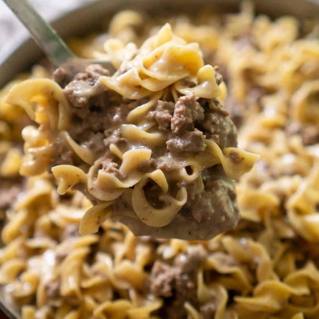 ground beef stroganoff in spoon held over pan