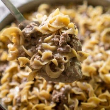 ground beef stroganoff in spoon
