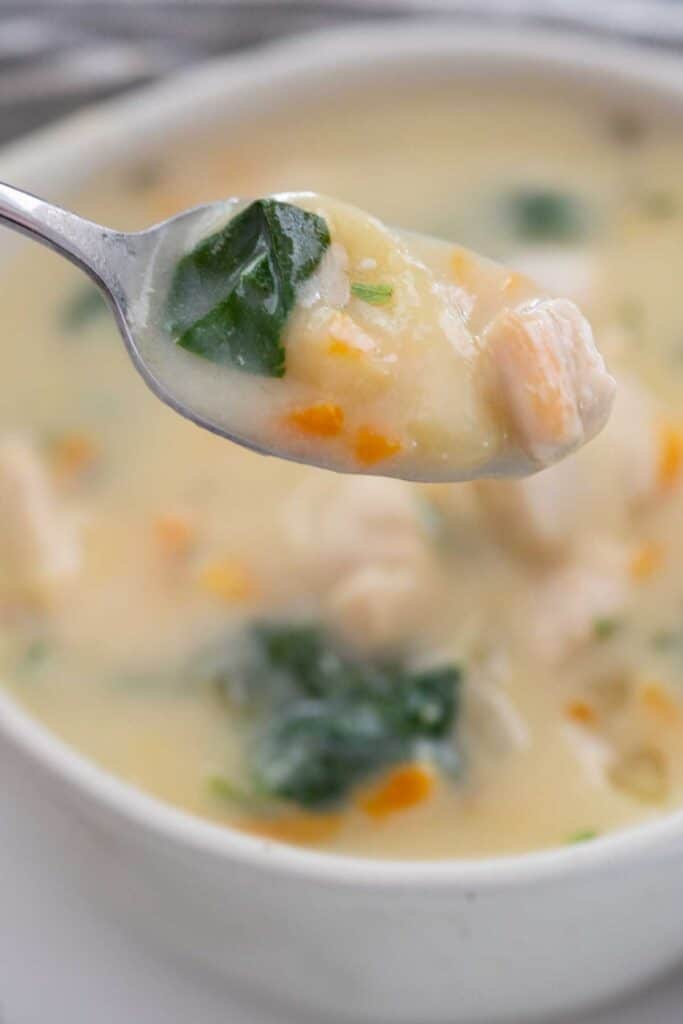 spoon full of chicken gnocchi soup held over bowl
