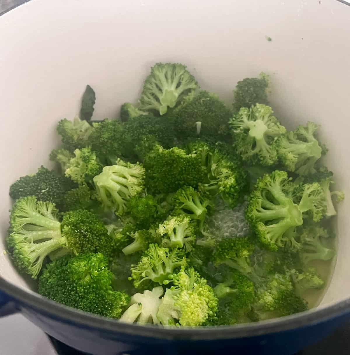 steamed broccoli in blue and white Dutch oven