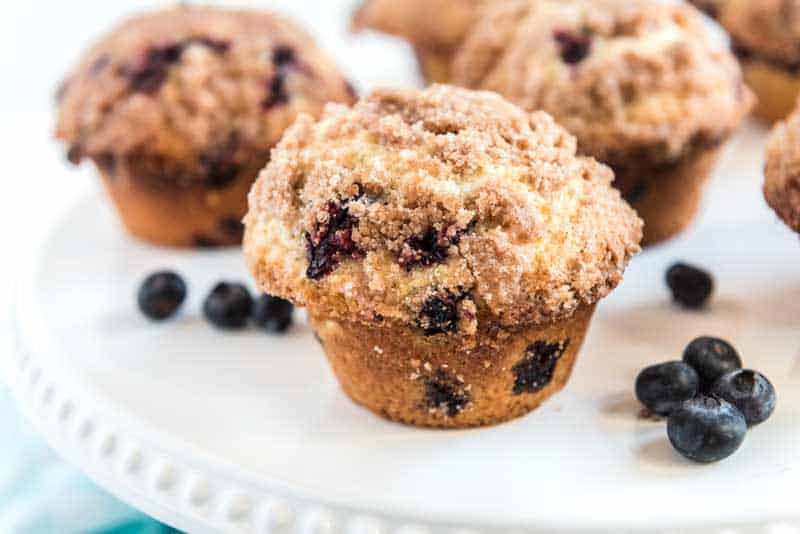 bakery style blueberry muffins on white plate