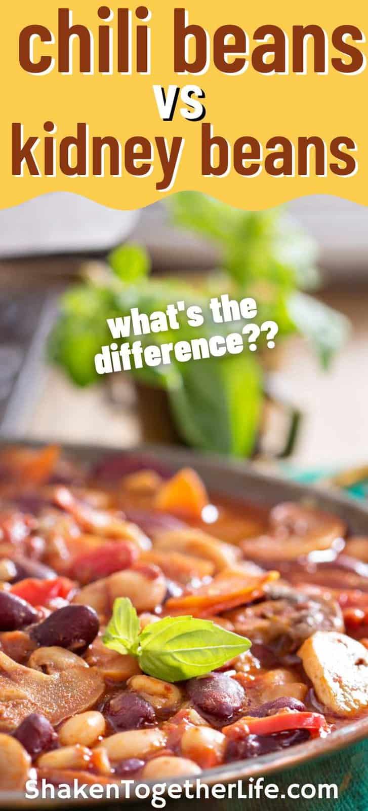 Chili Beans vs Kidney Beans What's the Difference? Shaken Together