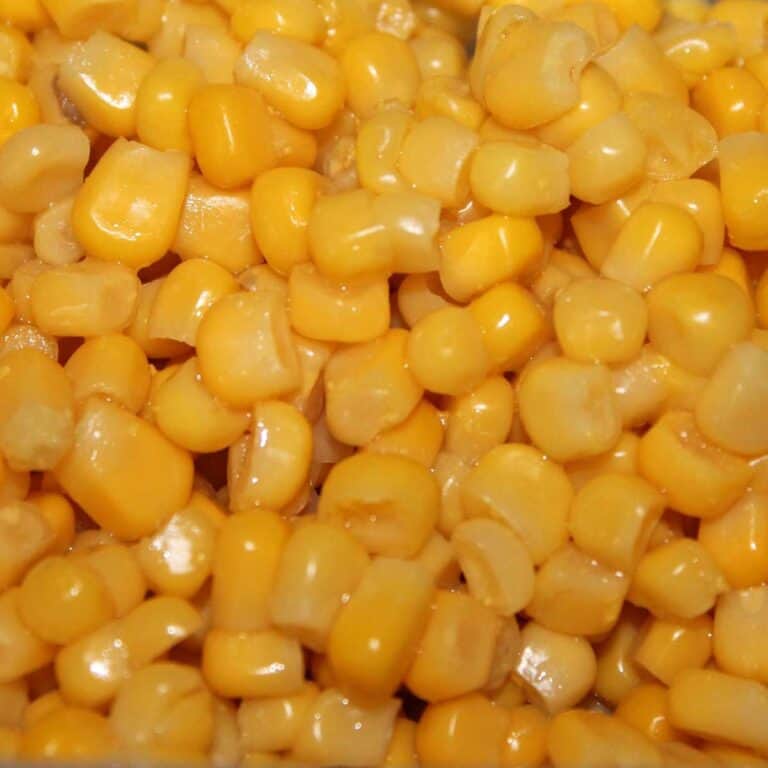 close up of cooked canned corn
