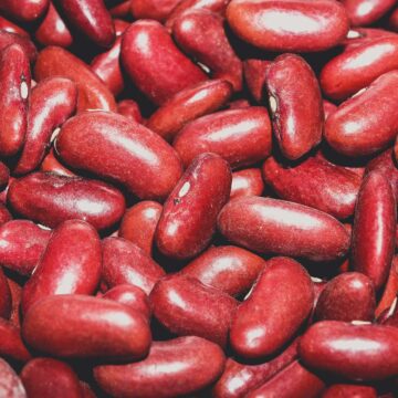 close up of kidney beans