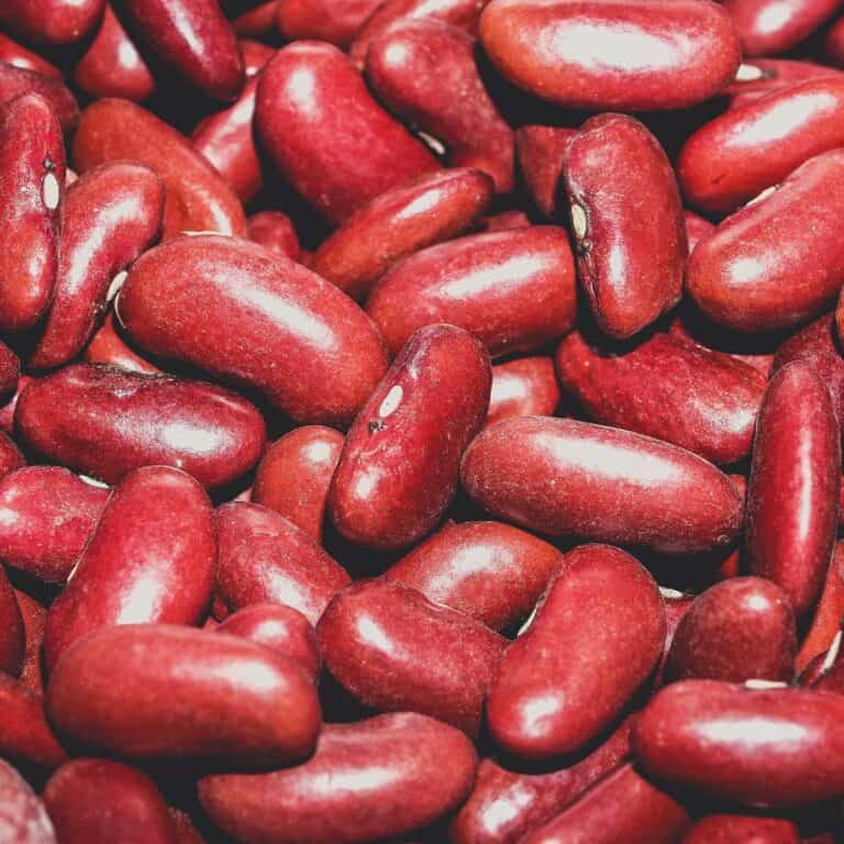 close up of kidney beans