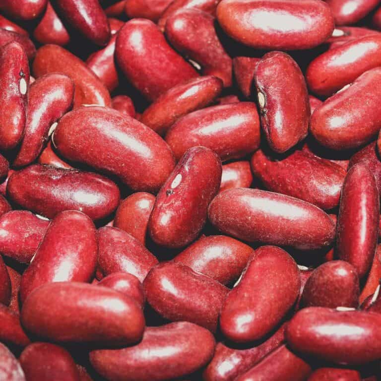 Chili Beans vs Kidney Beans: What’s the Difference?