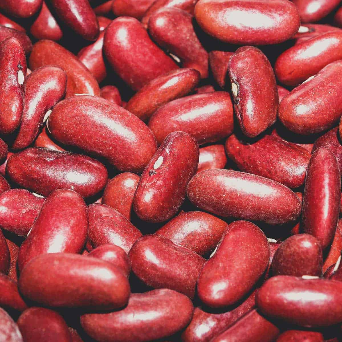 Chili Beans vs Kidney Beans: What's the Difference? - Shaken Together