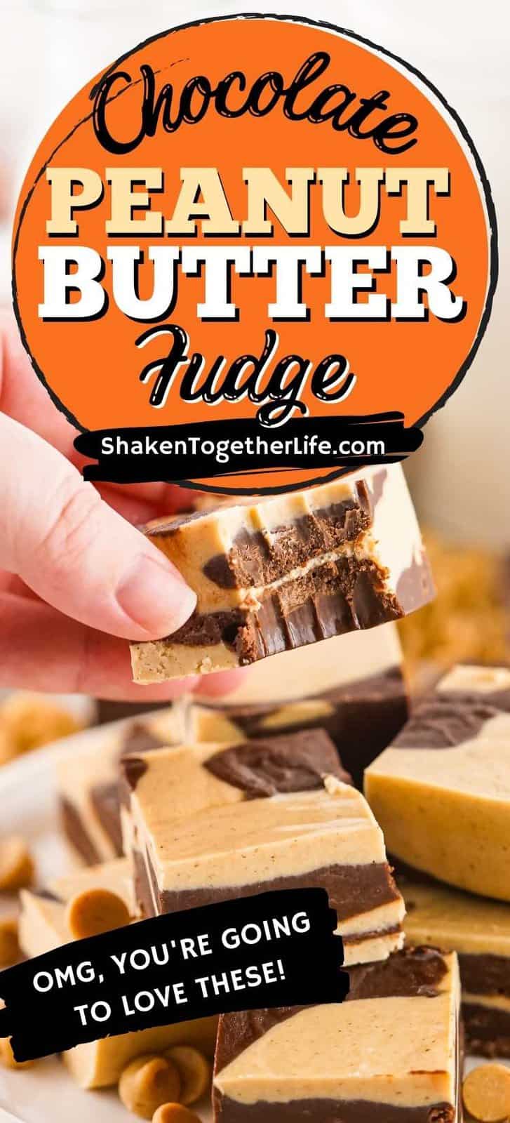 Chocolate Peanut Butter Fudge (No Condensed Milk!) Shaken Together
