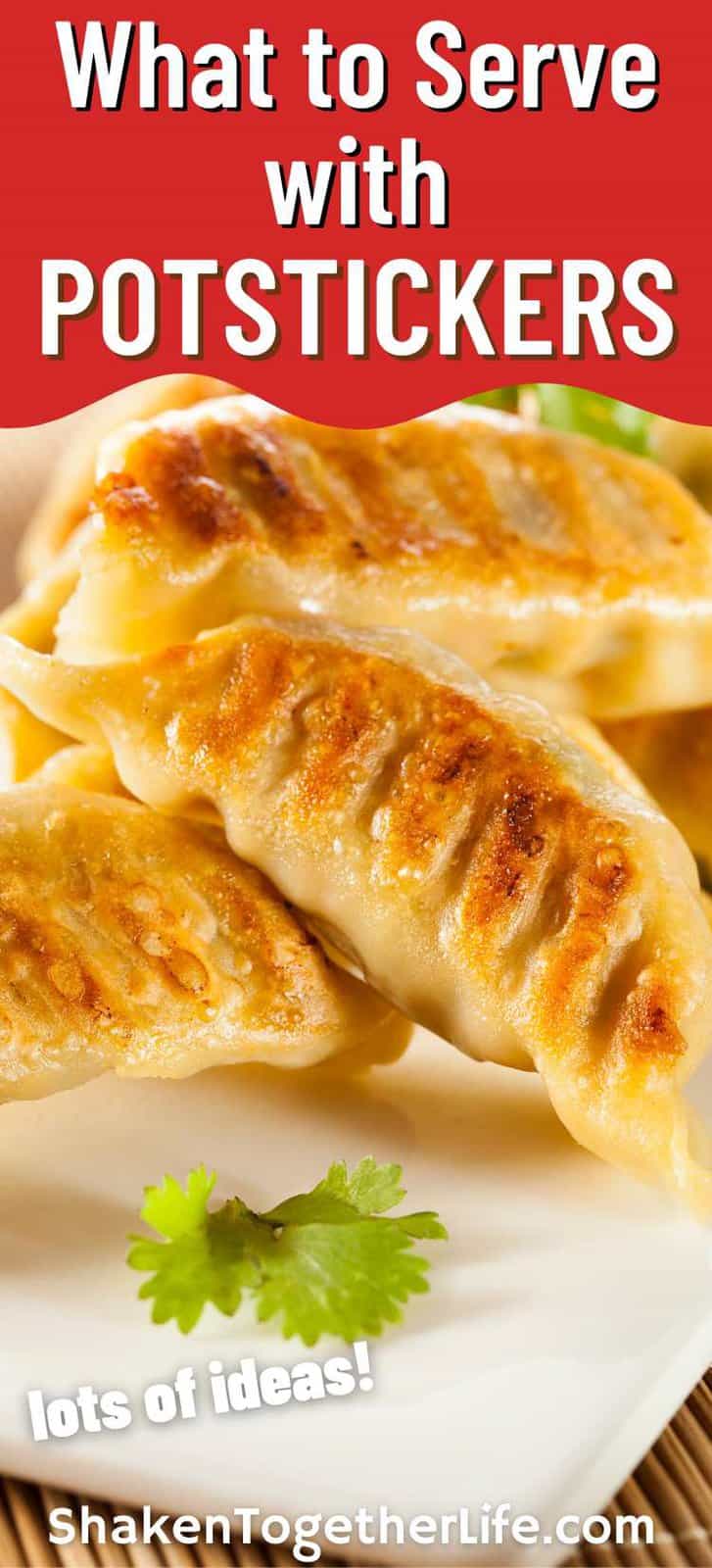 What to Serve with Potstickers 10 Delicious Ideas Shaken Together