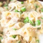 how to reheat tuna casserole collage with spoon of tuna casserole