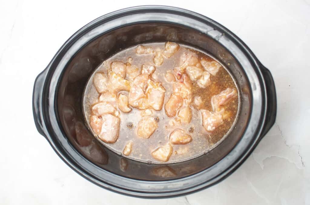 Slow Cooker Teriyaki Chicken before cooking
