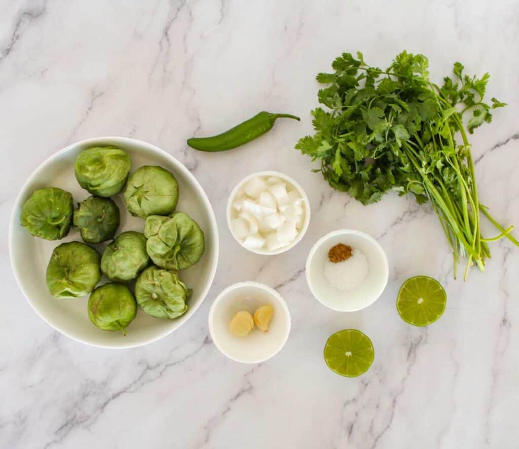 salsa verde ingredients on marble countertop