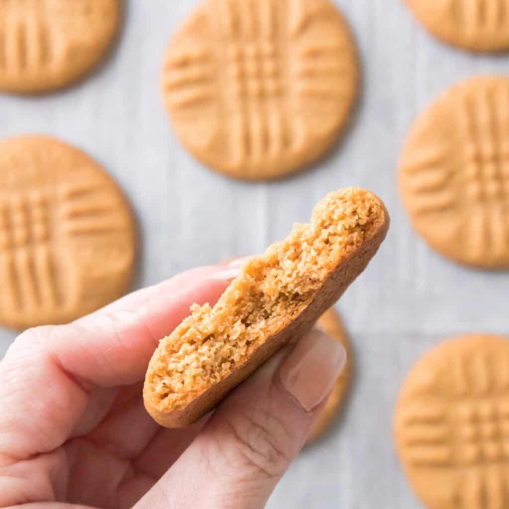 hand holding peanut butter cookie cut in half
