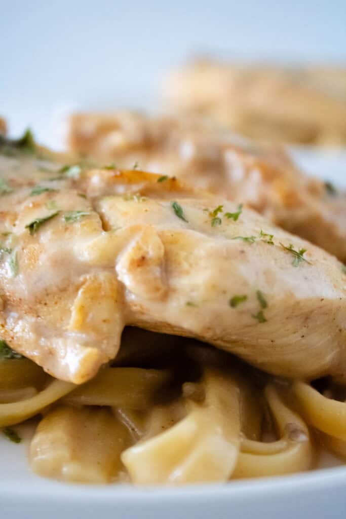 close up of creamy chicken mushroom pasta
