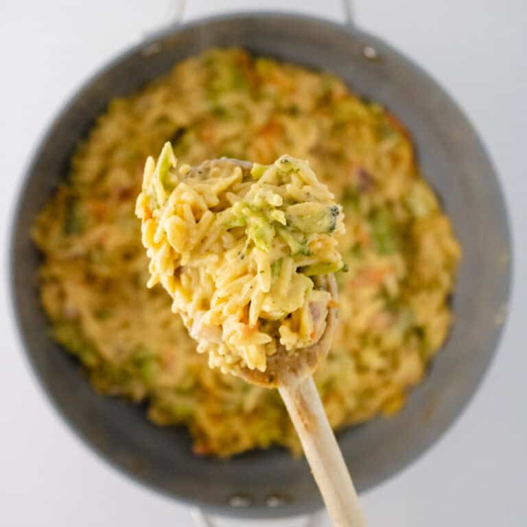 spoon full of broccoli cheddar orzo