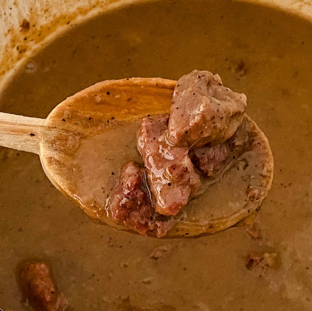 wooden spoon with beef tips