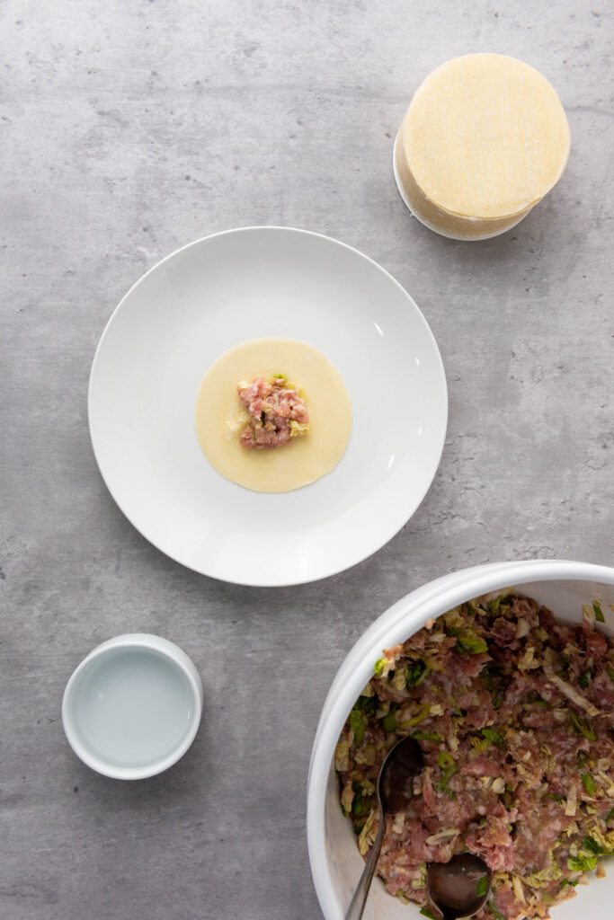 dumpling with pork mixture before folding