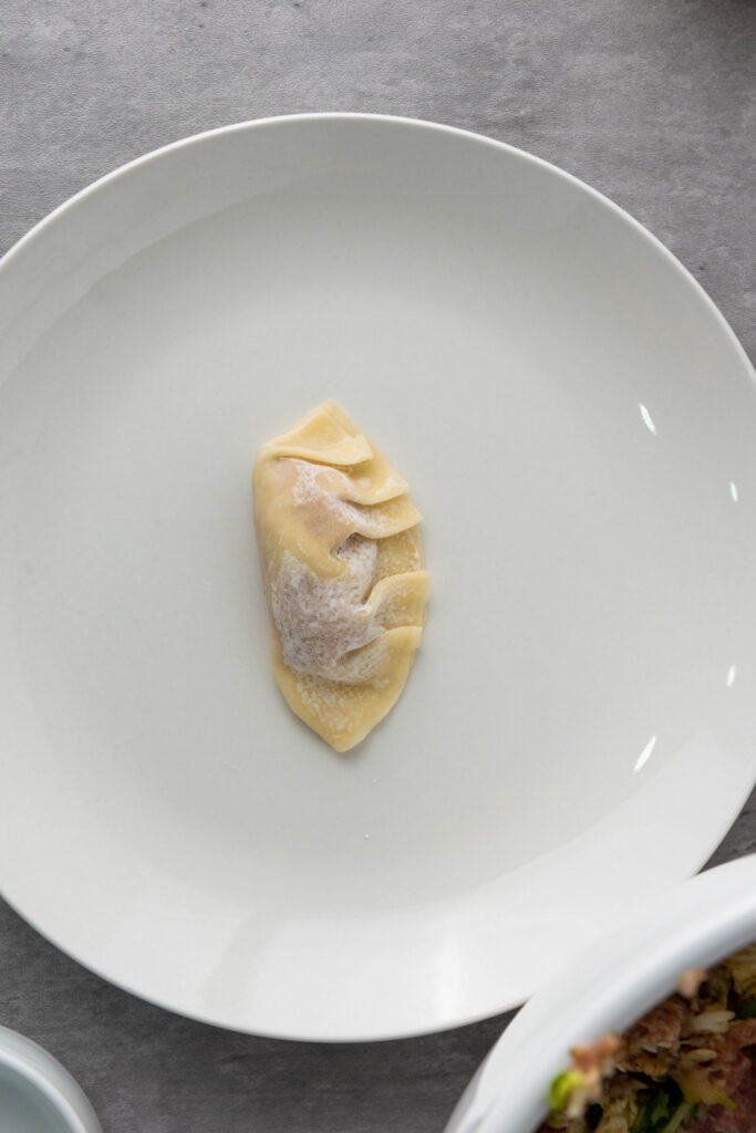 uncooked dumpling