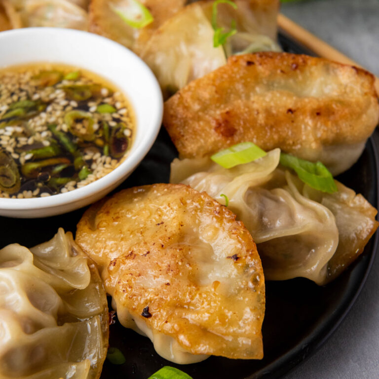 pan fried pork dumplings with dipping sauce