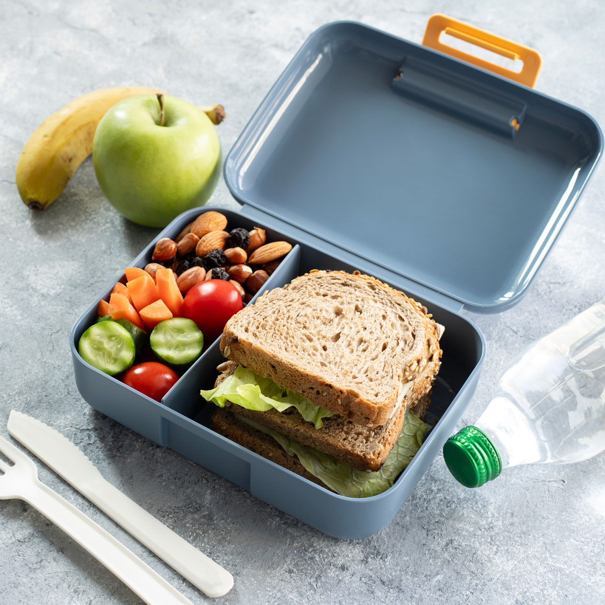 packed lunch box with sandwich, fruit, veggies, and nuts