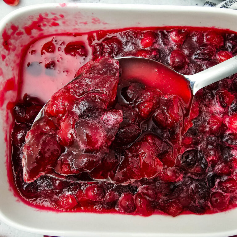 spoon full of cranberry sauce