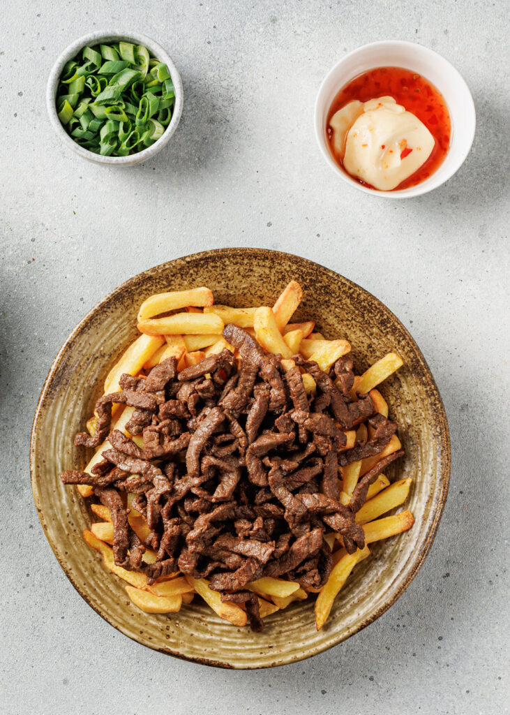 fries with korean beef on top
